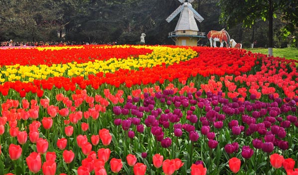 �������ܻ��܈@ˇ���޹�˾